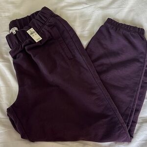 Aerie Purple Jogger Sweats medium